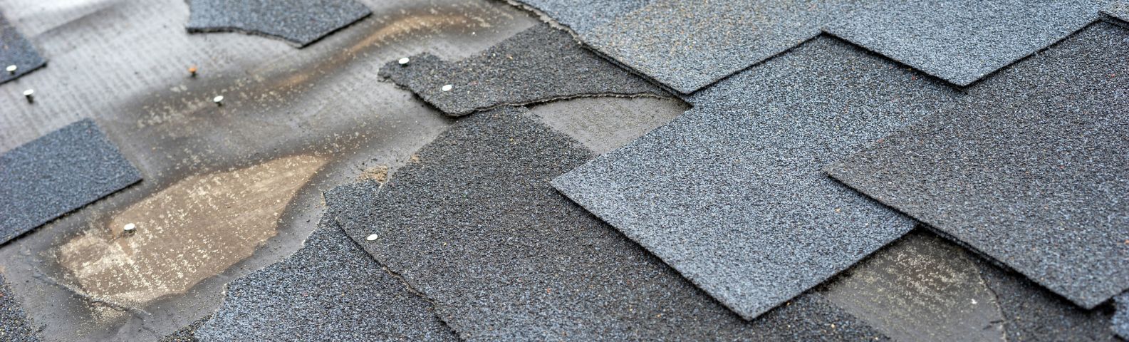 Missing or Damaged Shingle Repair